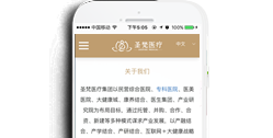 重慶圣梵醫(yī)療咨詢(xún)有限公司【手機(jī)網(wǎng)】